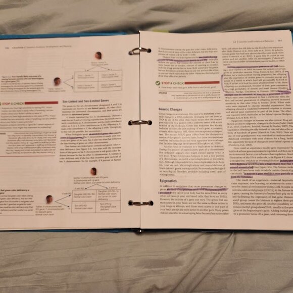 Biological Psychology 13th Edition by James W. Kalat - Picture 2 of 5